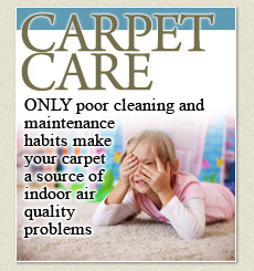carpet & upholstery steam cleaning New York